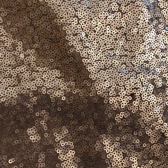 NWT Ann Taylor Rose Gold Sequin A-Line Skirt - Picture 3 of 4